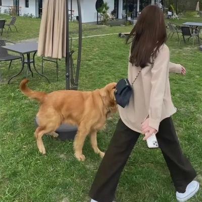 再见,地球